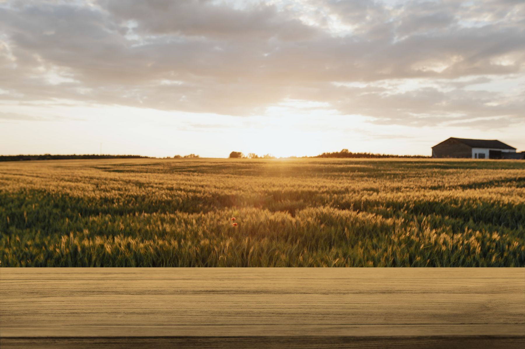 A Golden Fields table of fresh produce